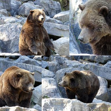 Cliquez pour agrandir l'image