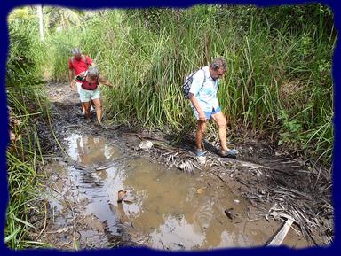 Cliquez pour agrandir l'image