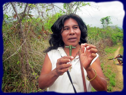 Cliquez pour agrandir l'image