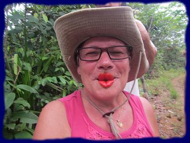 Cliquez pour agrandir l'image