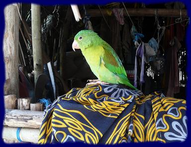 Cliquez pour agrandir l'image