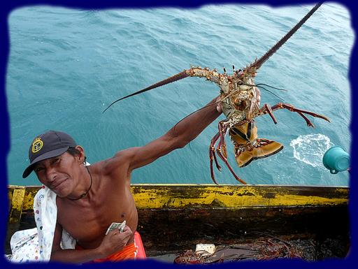 Cliquez pour agrandir l'image