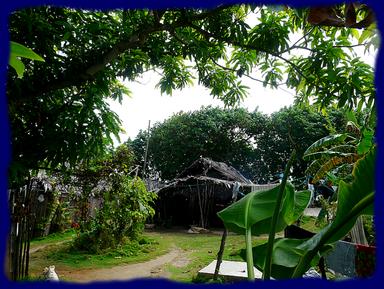 Cliquez pour agrandir l'image