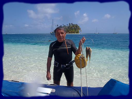 Cliquez pour agrandir l'image