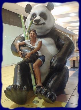 Cliquez pour agrandir l'image