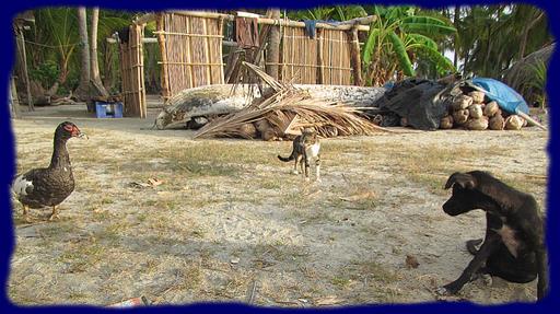 Cliquez pour agrandir l'image