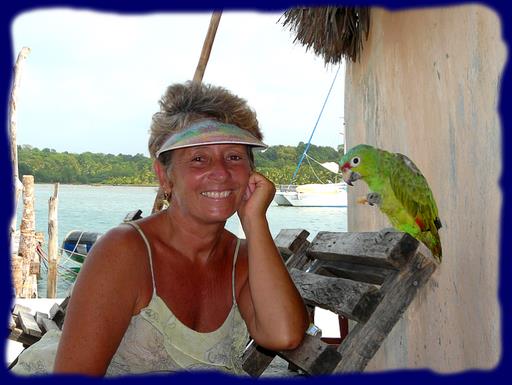 Cliquez pour agrandir l'image