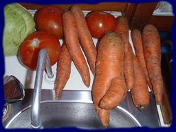 Cliquez pour agrandir l'image