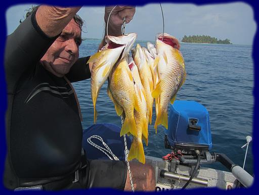 Cliquez pour agrandir l'image