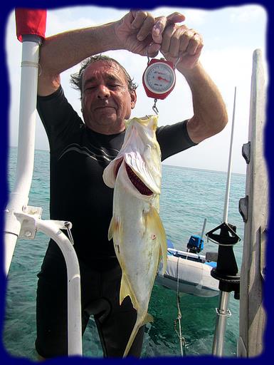 Cliquez pour agrandir l'image