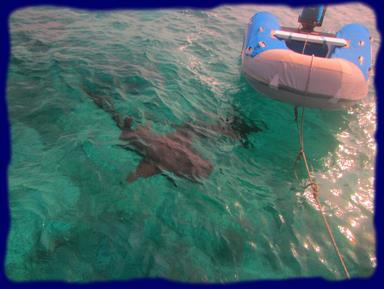 Cliquez pour agrandir l'image