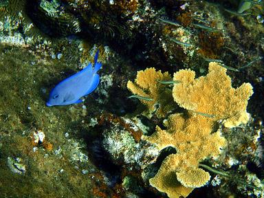 Cliquez pour agrandir l'image