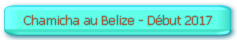 Chamicha au Belize - début  2017