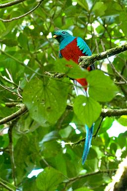 Cliquez pour agrandir l'image