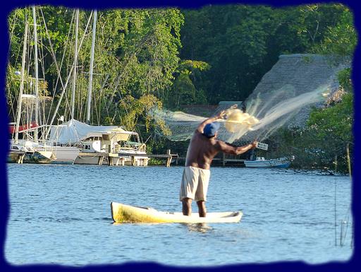 Cliquez pour agrandir l'image