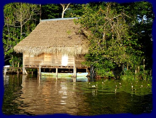 Cliquez pour agrandir l'image