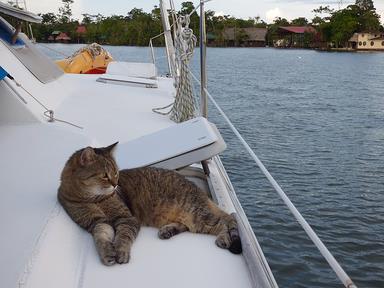 Cliquez pour agrandir l'image