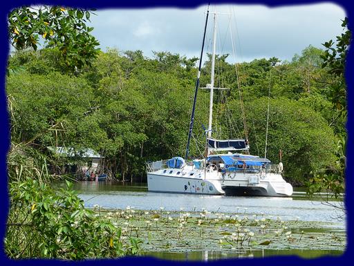 Cliquez pour agrandir l'image