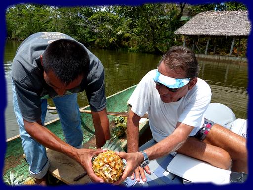 Cliquez pour agrandir l'image