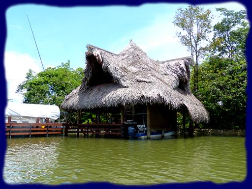 Cliquez pour agrandir l'image