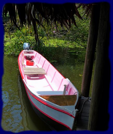 Cliquez pour agrandir l'image