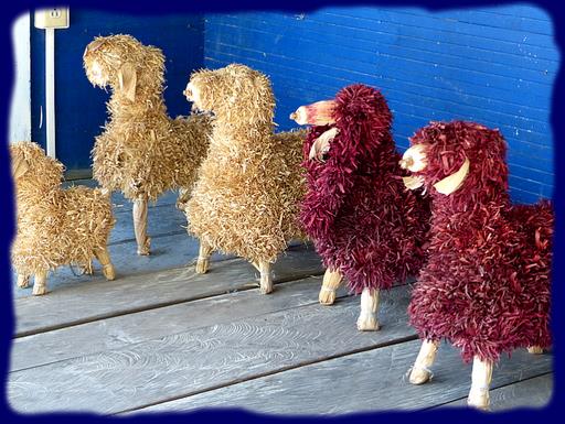 Cliquez pour agrandir l'image