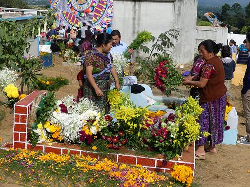 Cliquez pour agrandir l'image