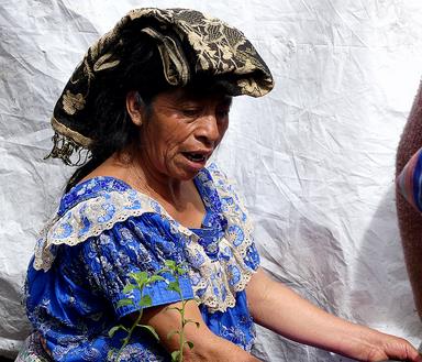 Cliquez pour agrandir l'image