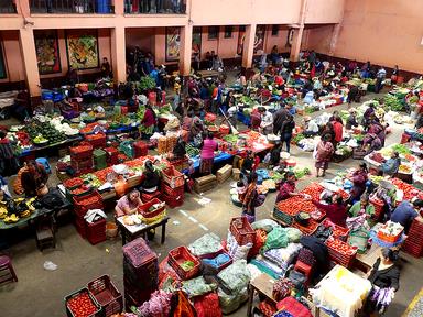 Cliquez pour agrandir l'image