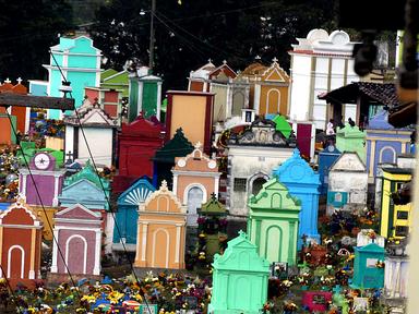 Cliquez pour agrandir l'image