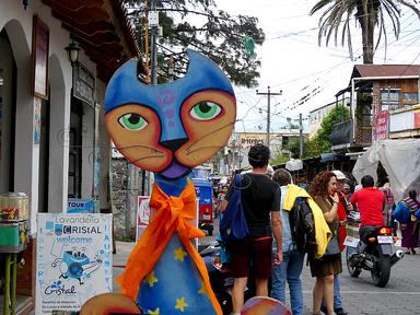 Cliquez pour agrandir l'image