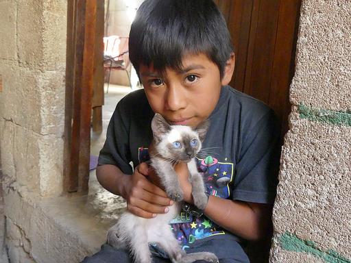 Cliquez pour agrandir l'image