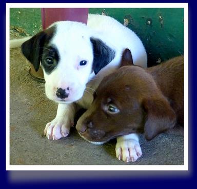 Cliquez pour agrandir l'image