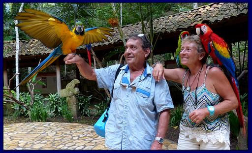 Cliquez pour agrandir l'image