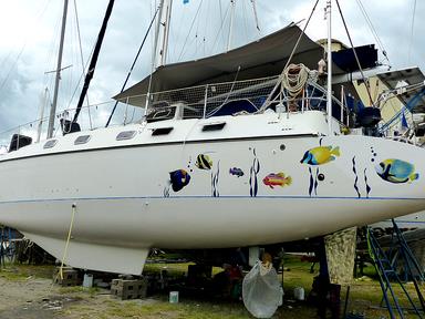 Cliquez pour agrandir l'image