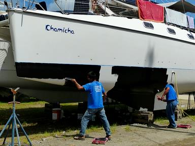 Cliquez pour agrandir l'image