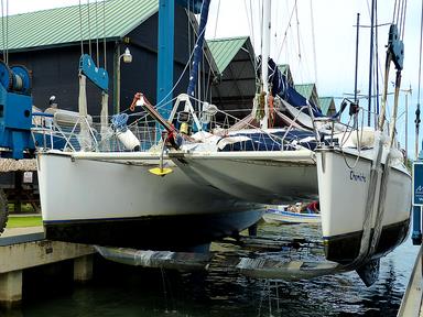 Cliquez pour agrandir l'image