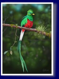 Cliquez pour agrandir l'image