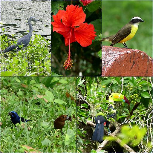 Cliquez pour agrandir l'image