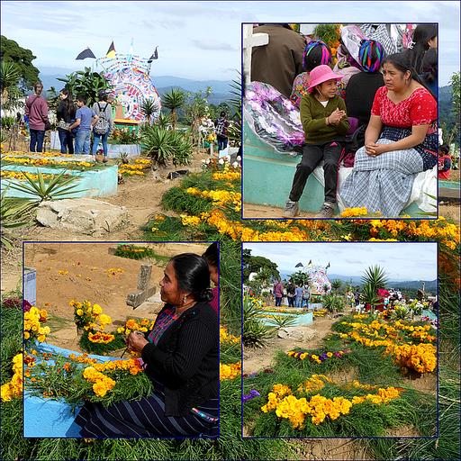 Cliquez pour agrandir l'image