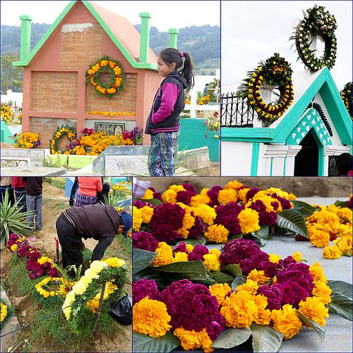 Cliquez pour agrandir l'image