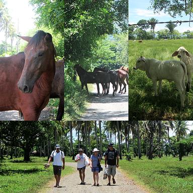 Cliquez pour agrandir l'image