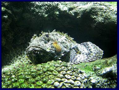 Cliquez pour agrandir l'image