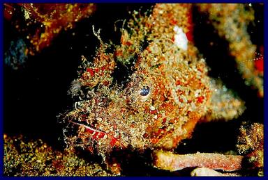 Cliquez pour agrandir l'image