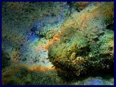 Cliquez pour agrandir l'image