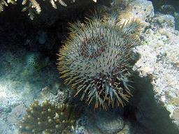 Cliquez pour agrandir l'image