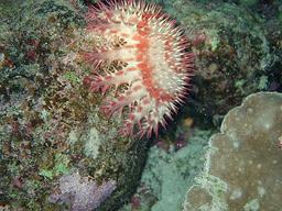 Cliquez pour agrandir l'image