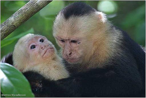 Cliquez pour agrandir l'image