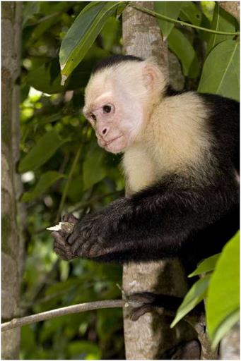 Cliquez pour agrandir l'image