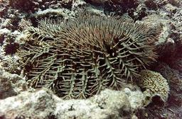 Cliquez pour agrandir l'image